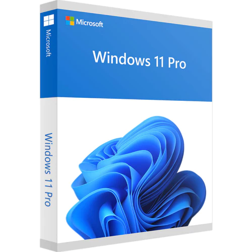 Microsoft Windows 11 Professioanl 32/64Bit  ESD