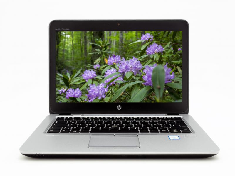 HP EliteBook 820 G3 31,75cm (12,5")